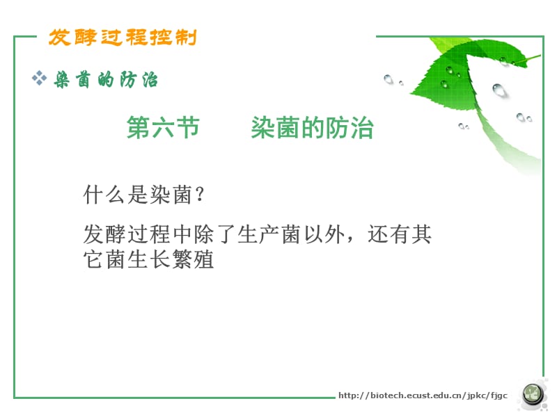 第七章发酵过程控制6.ppt_第2页