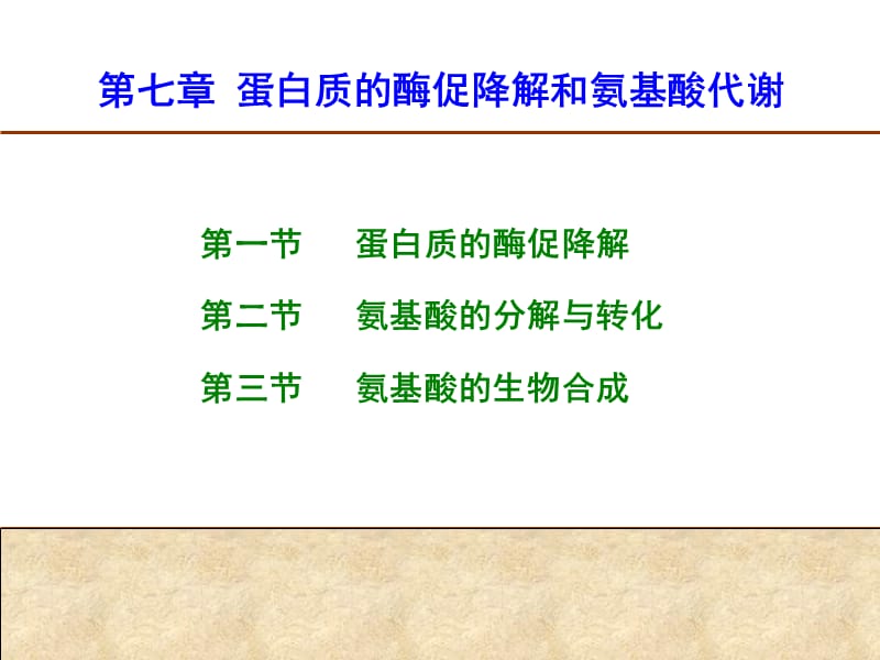 第7章蛋白质降解与氨基酸代谢.ppt_第1页