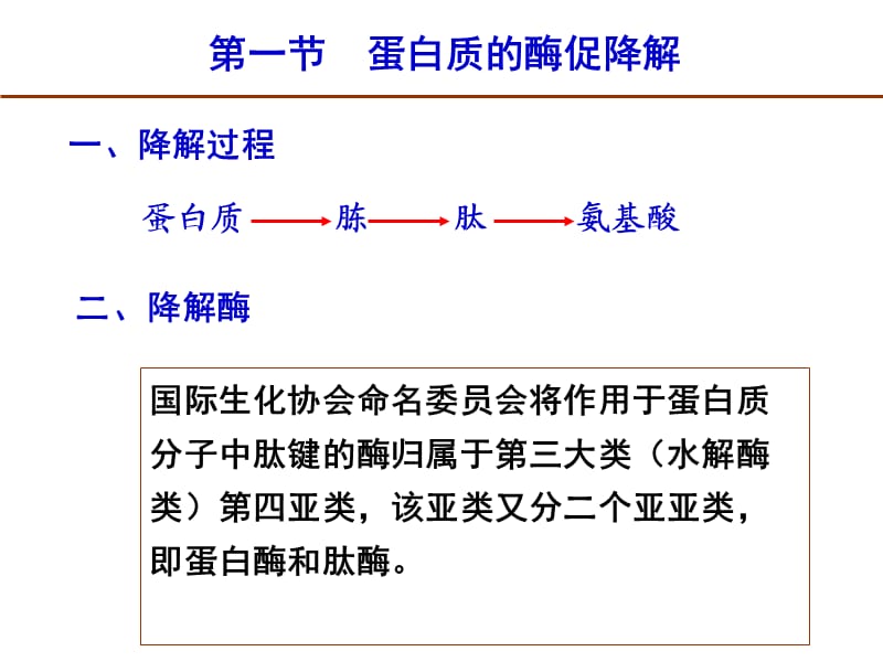 第7章蛋白质降解与氨基酸代谢.ppt_第2页