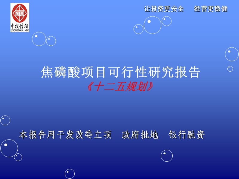 焦磷酸项目可行性研究报告.ppt_第1页