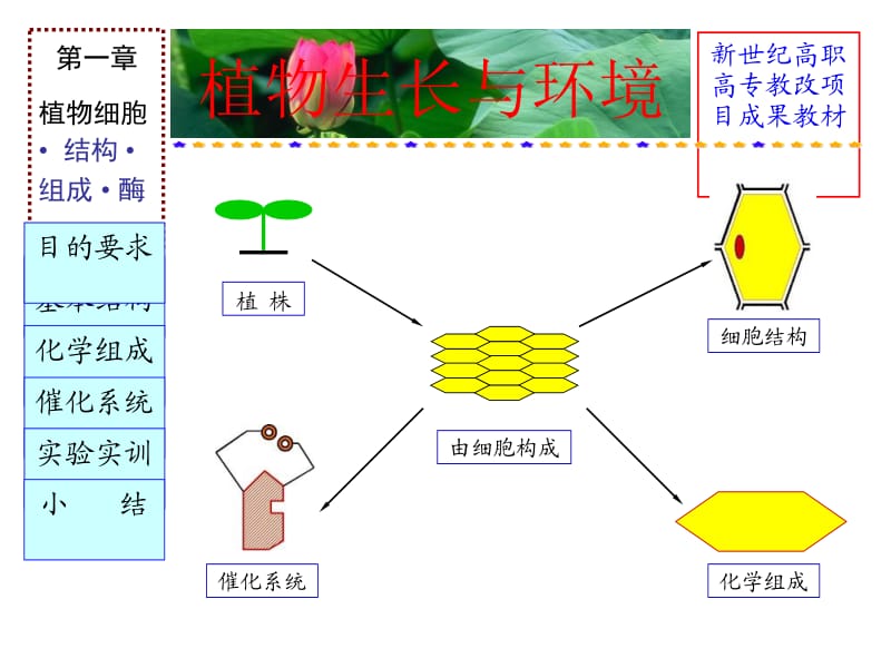 第一章植物细胞.ppt_第1页