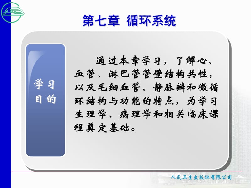 第七章-循环系统.ppt_第1页