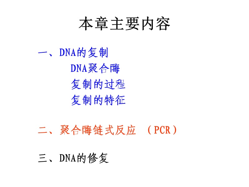 第34章DNA的复制-2.ppt_第2页