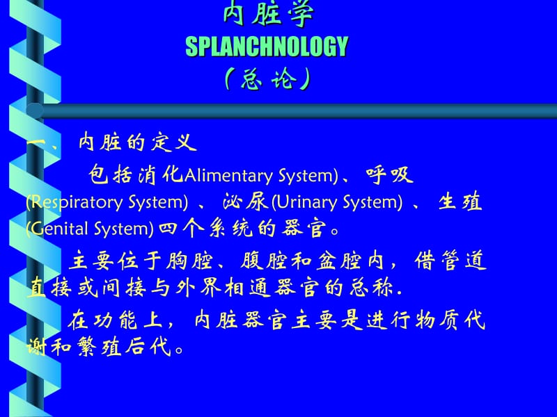 消化系、腹膜.ppt_第2页