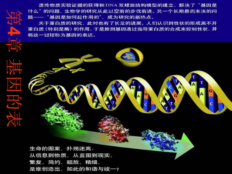 生物：41《基因指导蛋白质的合成》课件新人教版必修2.ppt_第2页