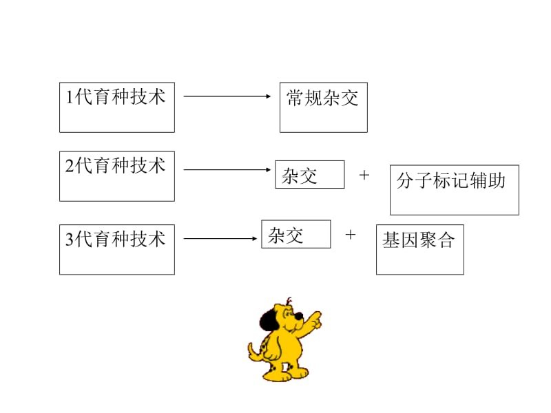 第四章有性杂交育种.ppt_第2页