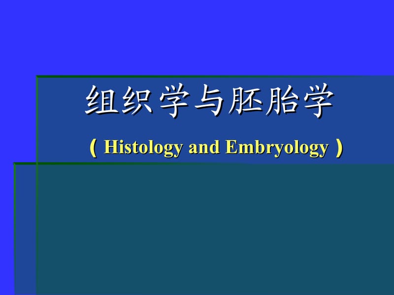 组织学与胚胎学神经.ppt_第1页