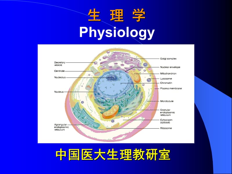 生理学Physiologyppt课件.ppt_第1页