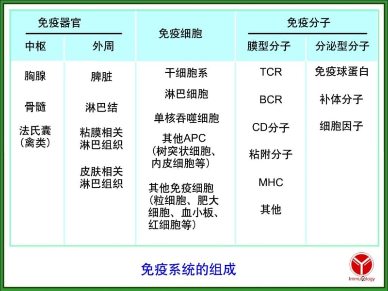 第十三章免疫分子1.ppt_第2页