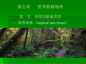 第五章第一节热带植被类型.ppt