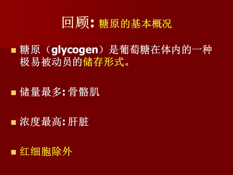 第26章糖原的分解和生物合成.ppt_第2页