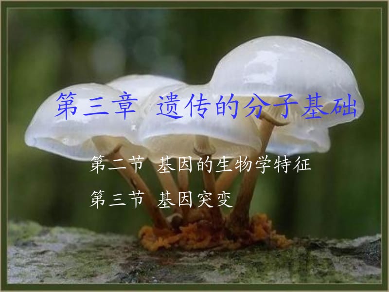 第三节基因的生物学特征和基因突变.ppt_第1页