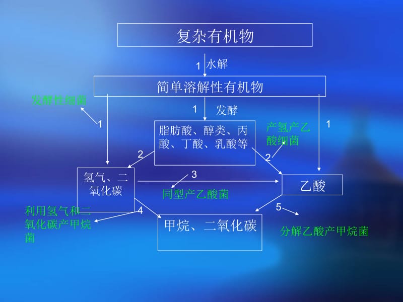 第三章厌氧生物处理技术.ppt_第2页