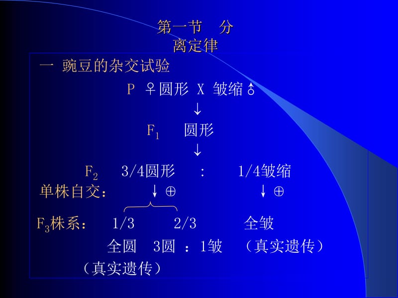 第四章孟德尔遗传分析.ppt_第2页