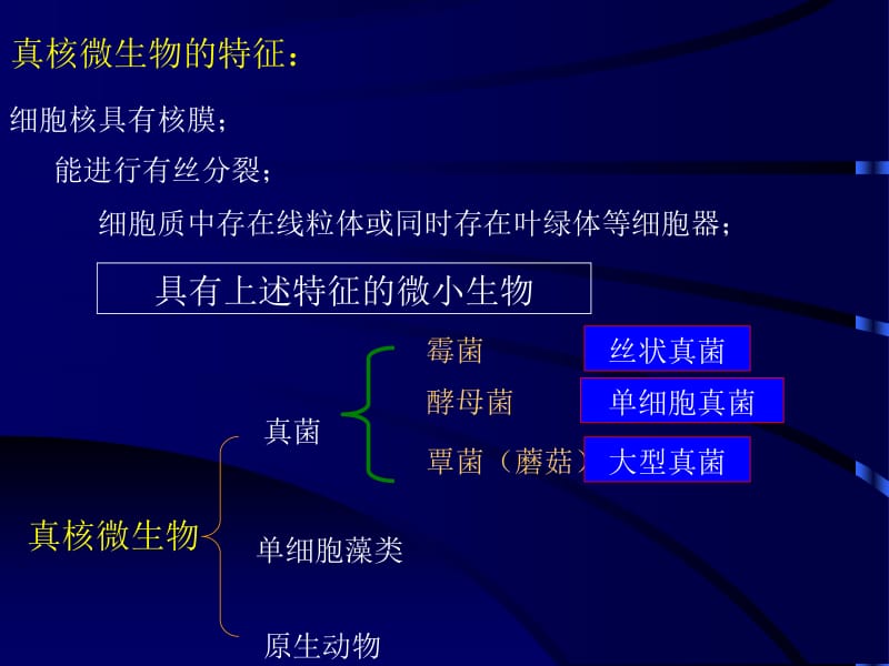 第三章真核微生物0708.ppt_第2页