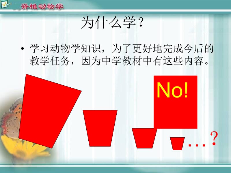 第十四章脊索动物门.ppt_第2页