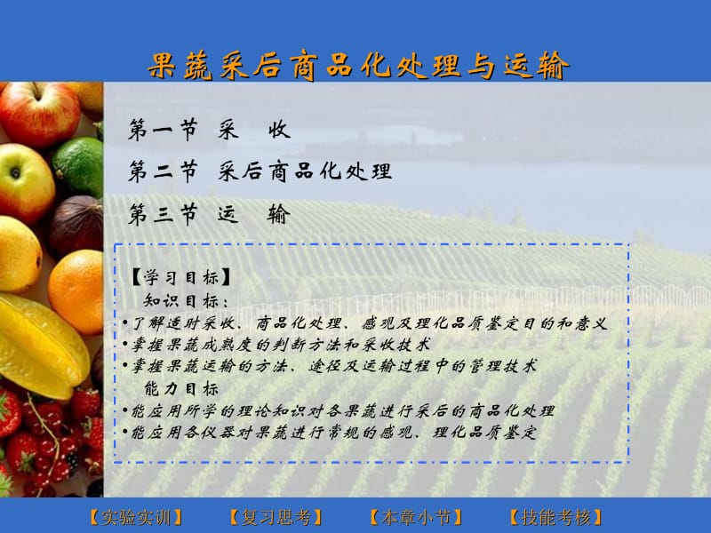 果蔬贮运与加工.ppt_第1页