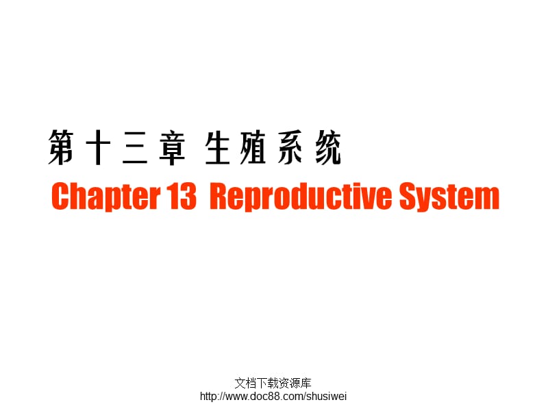 组胚生殖系统课件.ppt_第1页