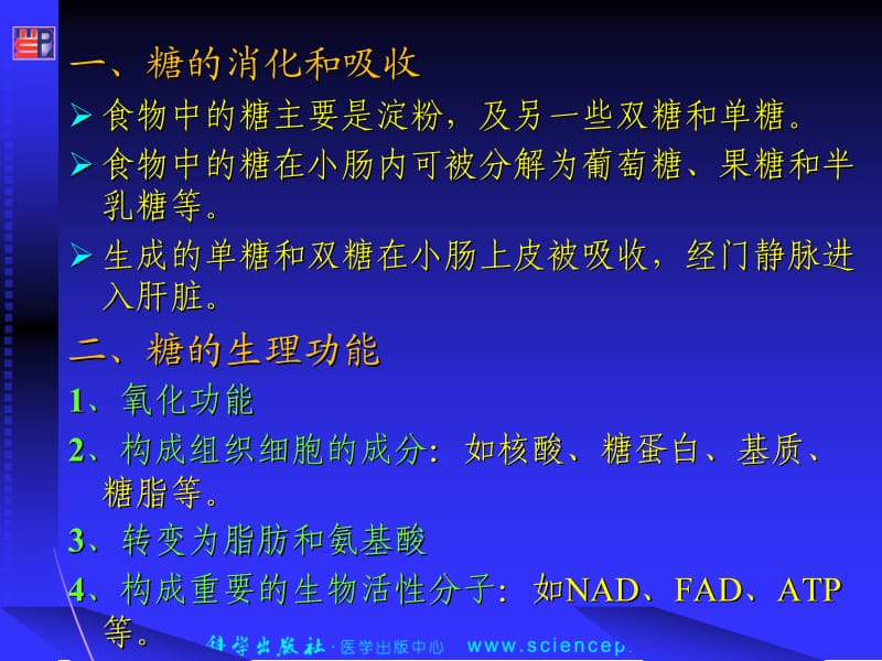 第6章糖代谢完成.ppt_第2页