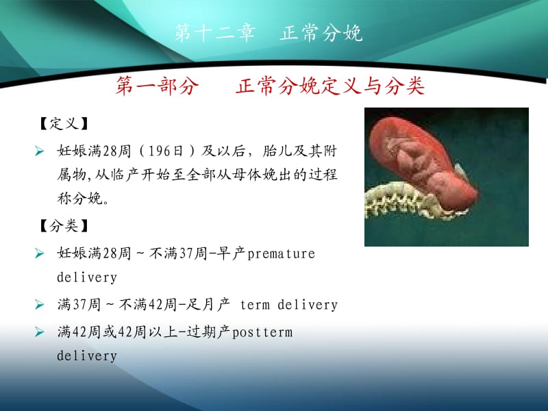 精品课件--分娩生理.ppt_第2页