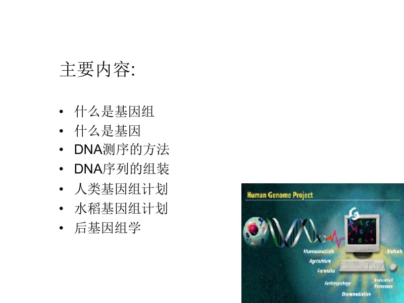 第9章基因组测序与序列.ppt_第2页