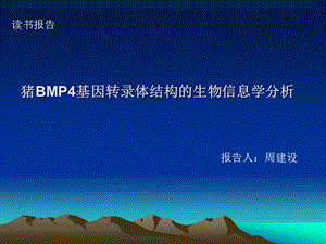 猪BMP4基因转录体结构的生物信息学分析.ppt