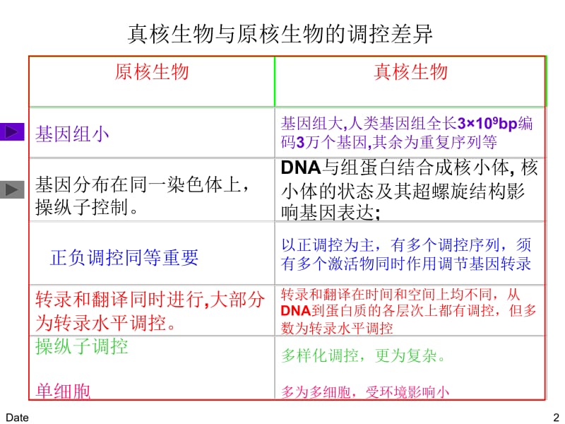 第9章+真核生物基因表达的调控.ppt_第2页