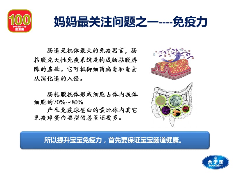 新金装金讲解重点.ppt_第3页