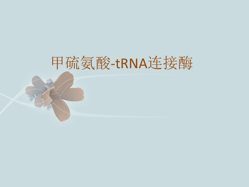 甲硫氨酰tRNA连接酶.ppt_第1页