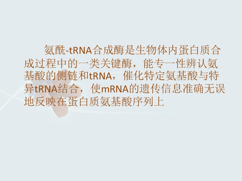 甲硫氨酰tRNA连接酶.ppt_第2页