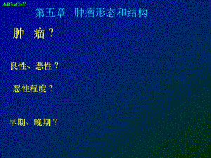 第五章肿瘤形态结构.ppt