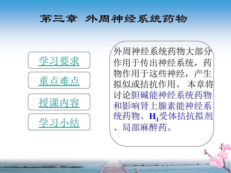 第三章外周神经系统药物.ppt_第2页