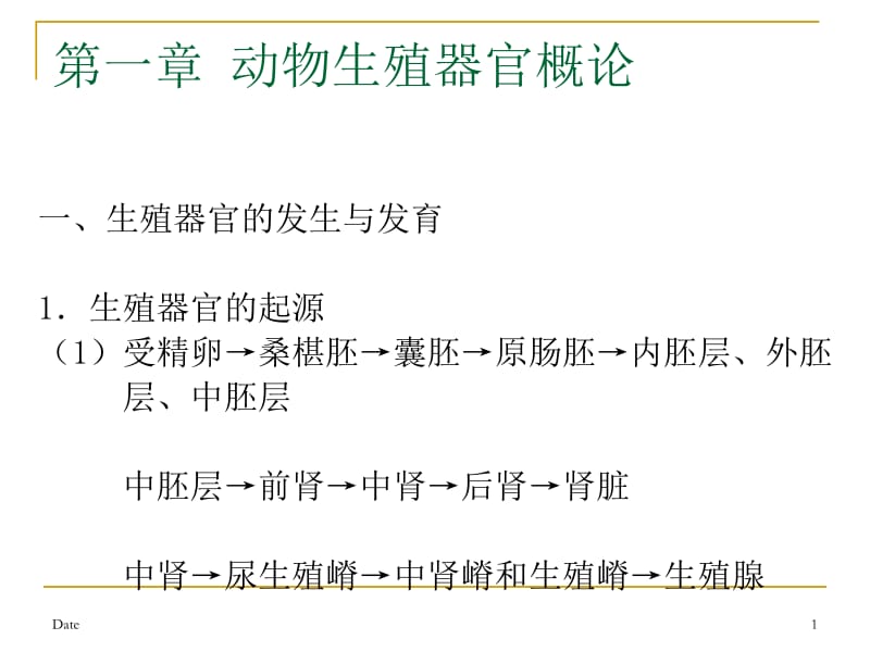 第一章动物的生殖器官.ppt_第1页