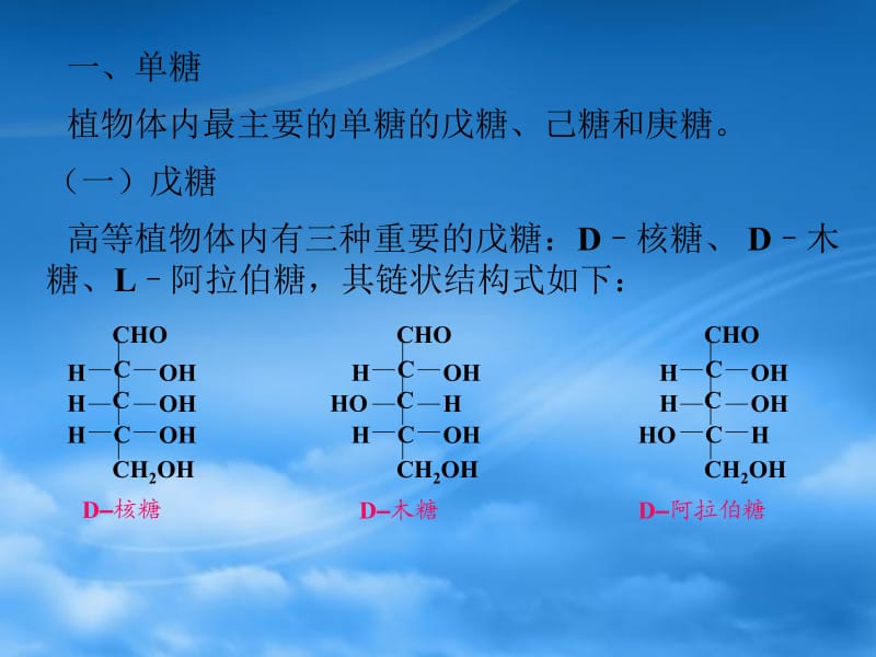 第三章糖类及糖代谢.ppt_第2页