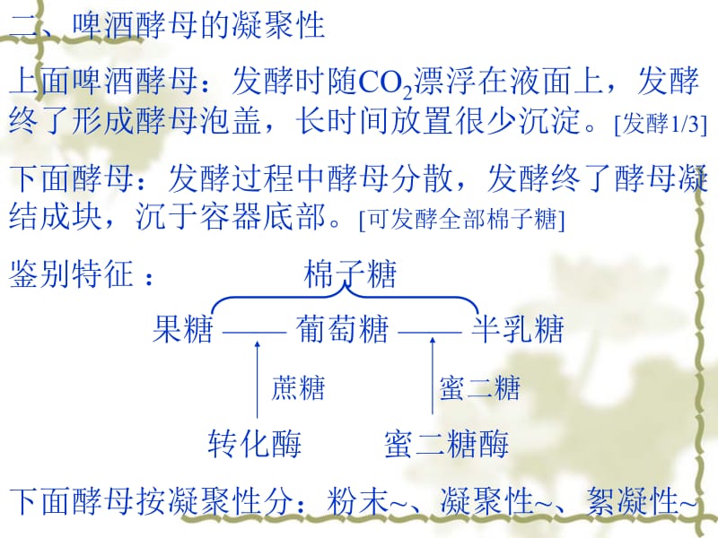 第5章啤酒发酵.ppt_第2页