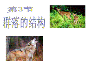 第三节群落的结构.ppt