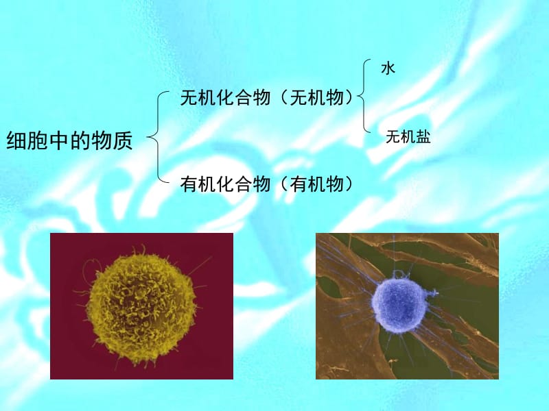 有机化合物及生物大分子.ppt_第2页