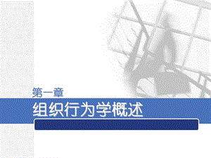 组织行为学1.ppt