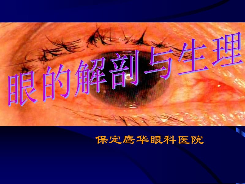 眼解剖及生理.ppt_第1页