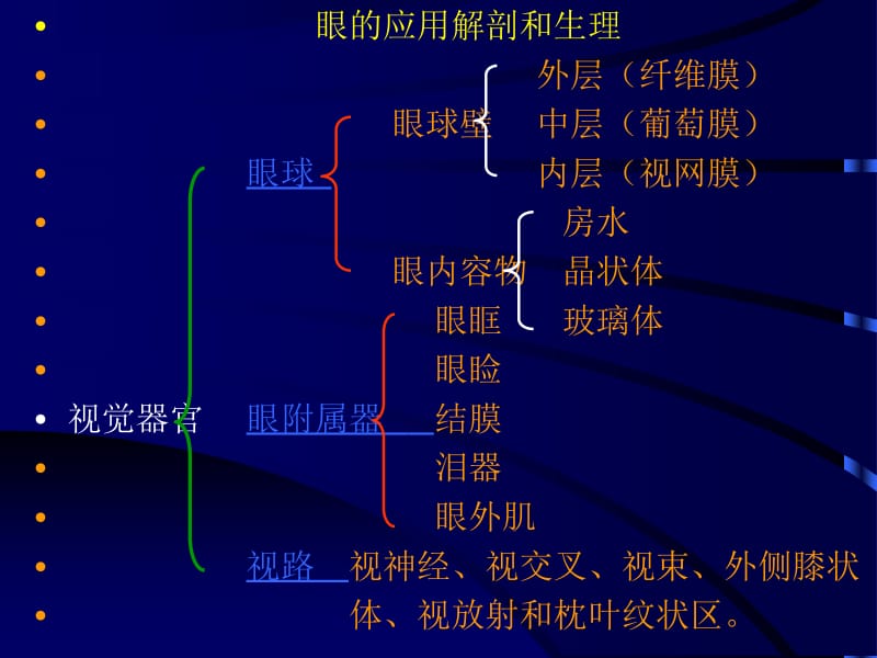 眼解剖及生理.ppt_第2页