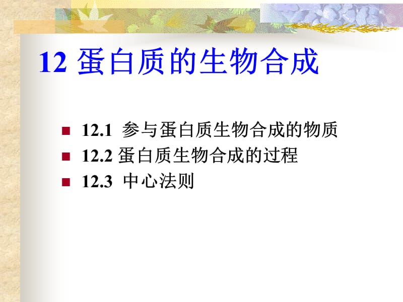 生物化学课件12.ppt_第1页