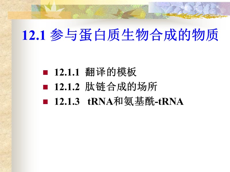 生物化学课件12.ppt_第2页