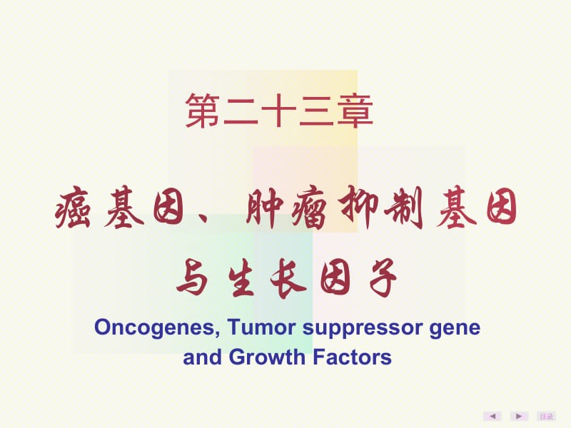 癌基因、肿瘤抑制基因与生长因子.ppt_第2页