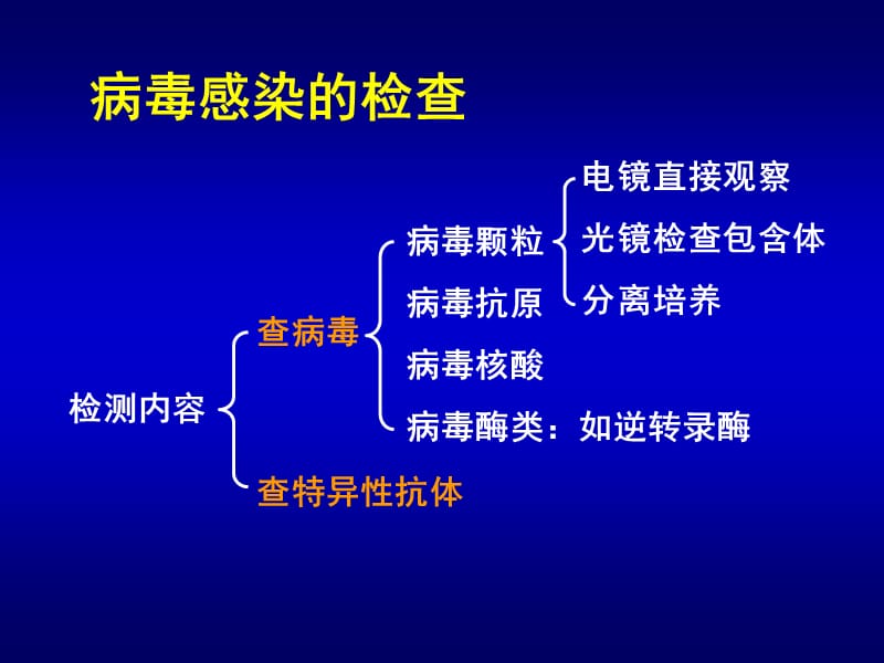 病毒感染的检查方法与防治原则.ppt_第2页