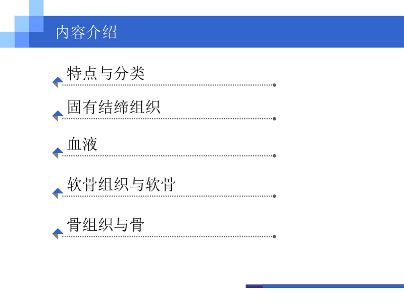 组织胚胎学.ppt_第2页