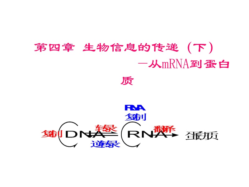 第四章生物信息的传递下——翻译.ppt_第1页