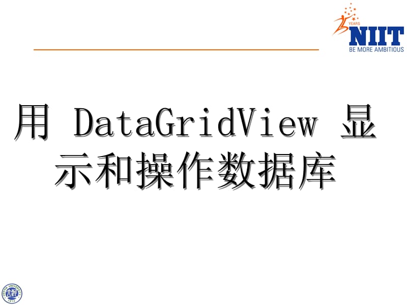 用DataGridView显示和操作数据库.ppt_第1页