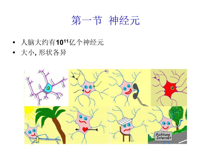 神经元和神经胶质细胞2.ppt_第2页