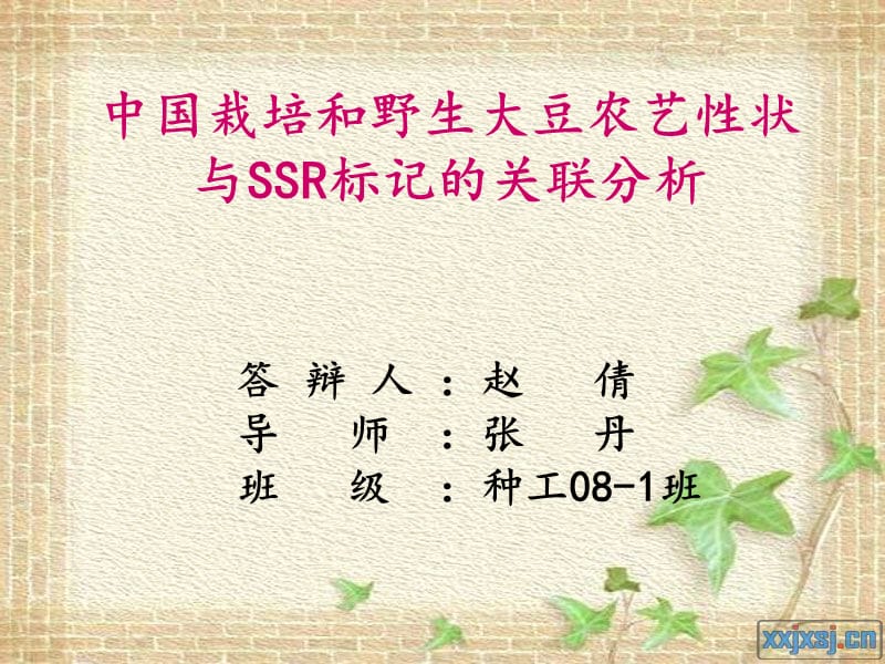 毕业论文的.ppt_第1页