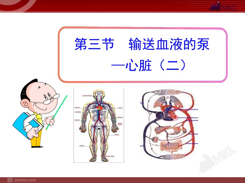 第三节输送血液的泵—心脏二七年级下册.ppt_第1页